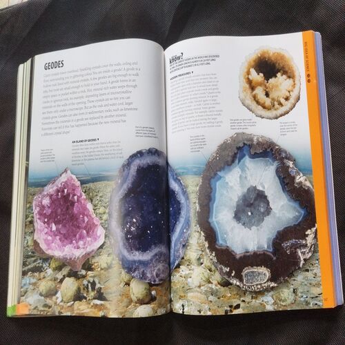 The Science Book .