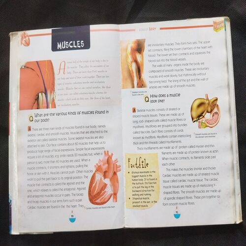 Children's Encyclopedia .
