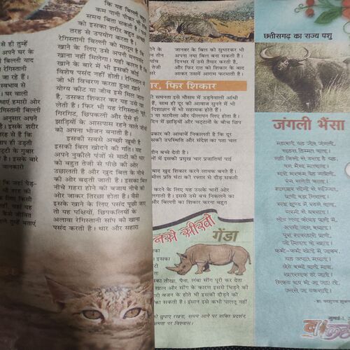 Balhans . Edition :- ( July - 1st - 2008 ) .