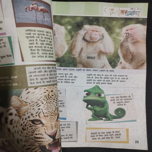 Balhans . Edition :- ( May - 2nd - 2013 ) .