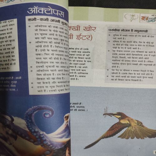 Balhans . Edition :- ( May - 2nd - 2013 ) .