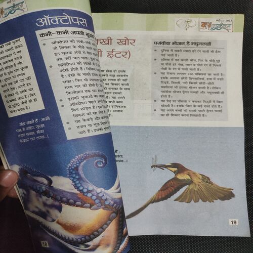 Balhans . Edition :- ( May - 2nd - 2013 ) .