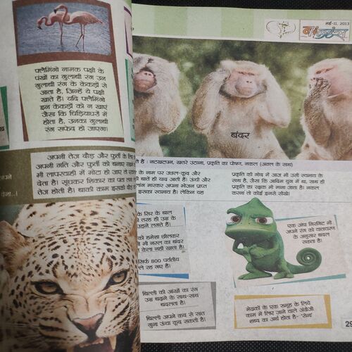 Balhans . Edition :- ( May - 2nd - 2013 ) .