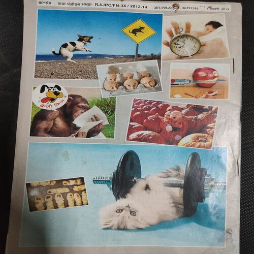 Balhans . Edition :- ( January - 1st - 2013 ) .