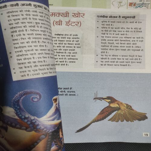 Balhans . Edition :- ( May - 2nd - 2013 ) .