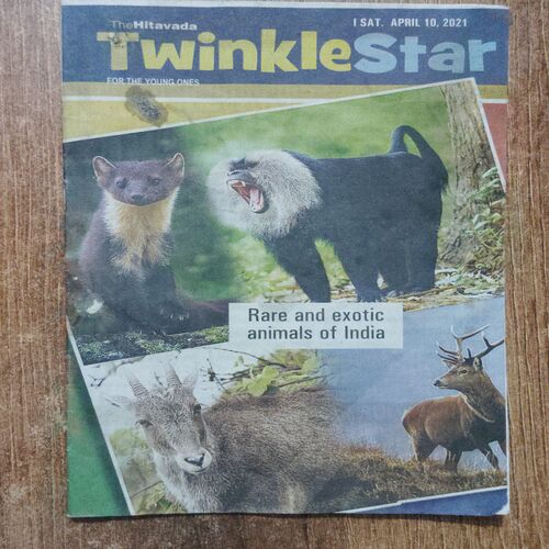 Twinkle Star ( April 10,2021)