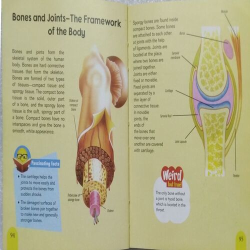 My Mini Knowledge Encyclopedia