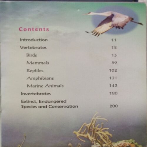 Junior Encyclopedia Animal Kingdom