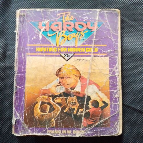 Hunting The Hidden Gold ( Franklin N. Dixon ) .