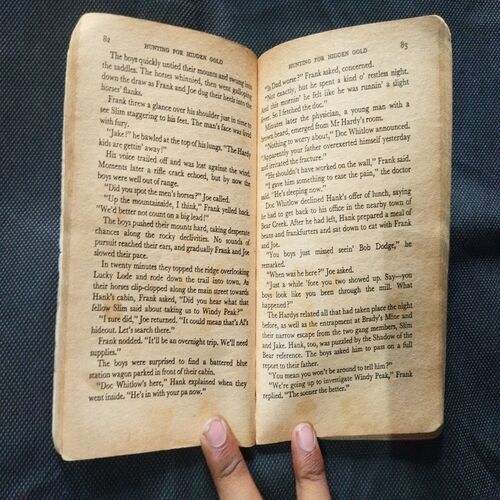 Hunting The Hidden Gold ( Franklin N. Dixon ) .