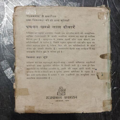 Shesh Yaatra (Usha Priyamvada)