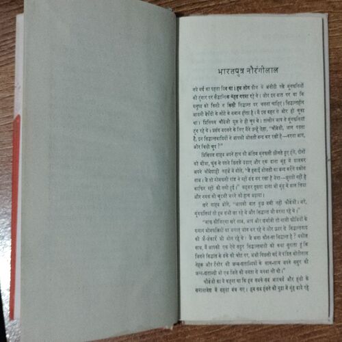 Bharatputra Naurangilal ( Amritlal Naagar )