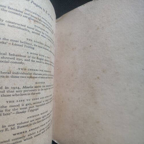E. M. Forster A Passage To India .