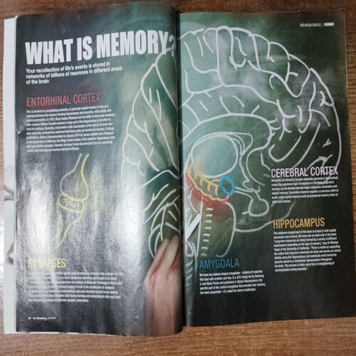 Knowledge  (June 2014 ,Vol. 4 , Issue 4)