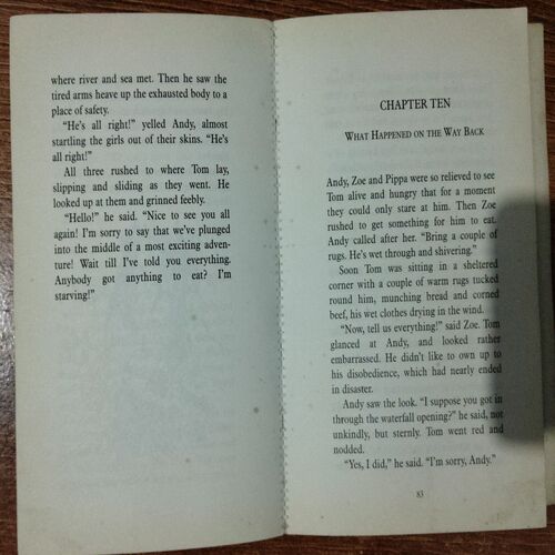 The Adventurous Stranded (Enid Blyton )