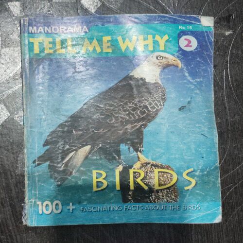 TELL ME WHY (No.2 , November 2006)