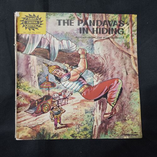 THE PANDAVAS IN HIDING