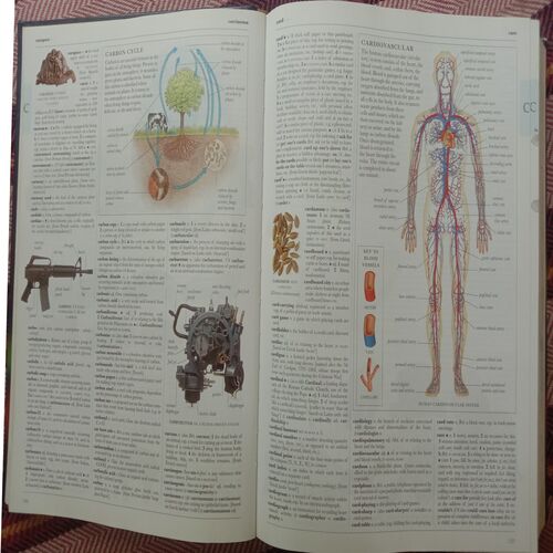 Illustrated Oxford Dictionary