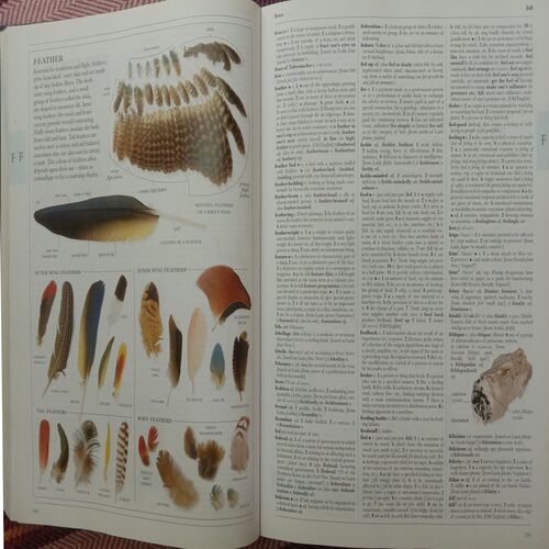 Illustrated Oxford Dictionary