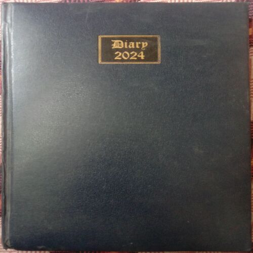 Diary (2024)
