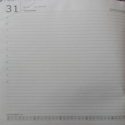 Diary (2024)