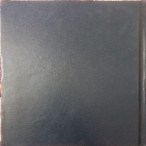 Diary (2024)