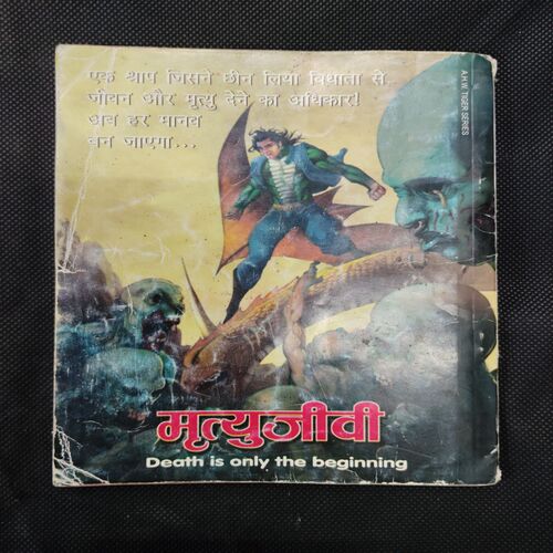 PAGAL NAGRAJ