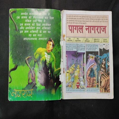 PAGAL NAGRAJ