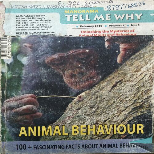 Tell Me Why ( February 2010 )