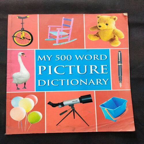 My 500 Word Picture Dictonary .