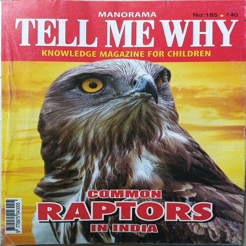 Tell Me Why ( February 2022 )