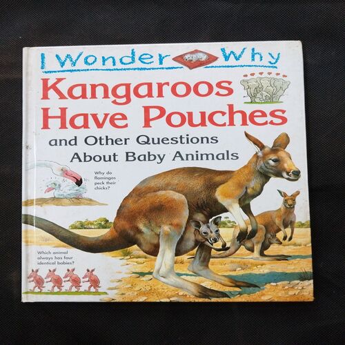 I Wonder Why ( Kangaroos Have Pouches ) .