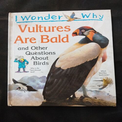 I Wonder Why ( Vultures Are Bald ) .