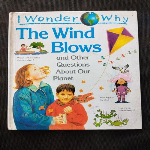 I Wonder Why ( The Wind Blows ) .