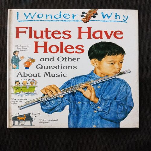 I Wonder Why ( Flutes Have Holes ) .