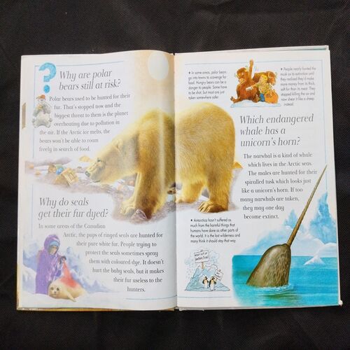 I Wonder Why ( The Dodo Is Dead ) .