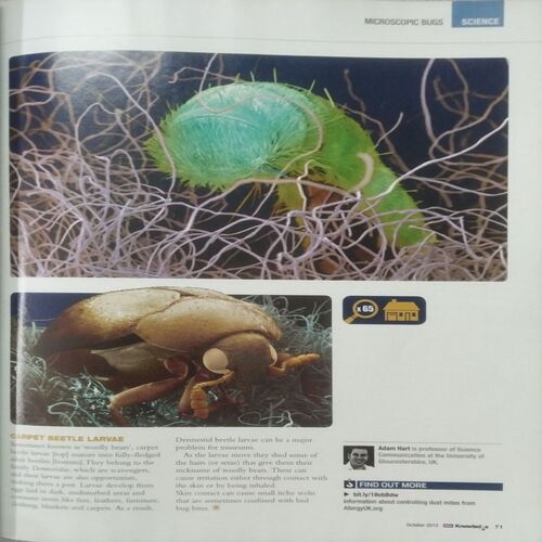 Knowledge ( Oct 2013 )