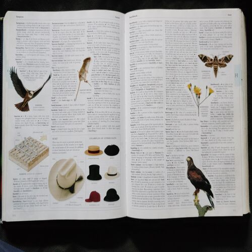Illustrated Oxford Dictionary