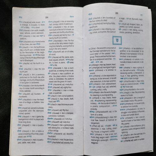 Sahni's Hindi - English Dictionary ( With Illustrations )