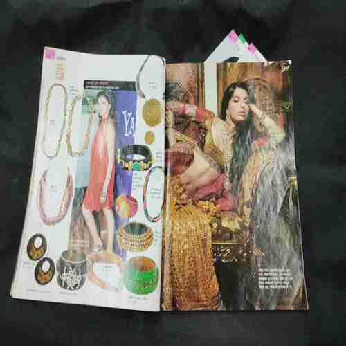Femina ( February 2010 ) Page no. 59 to 61 , 65 to 66 , 73 to 80 Missing .