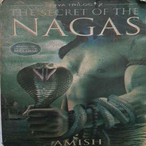 The Secret Of The Nagas