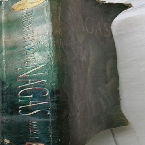 The Secret Of The Nagas