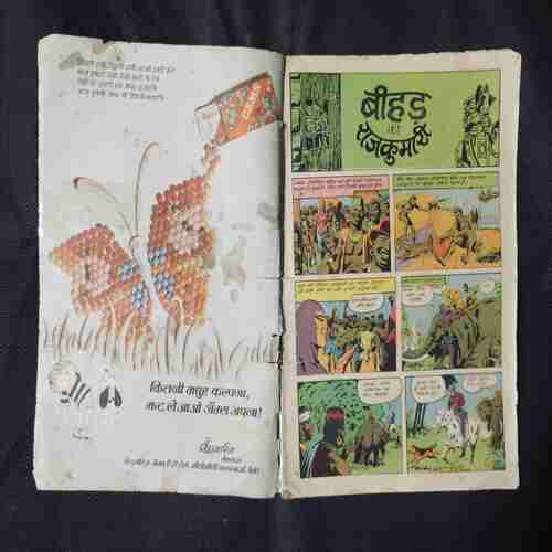BEEHAD KI RAJKUMARI