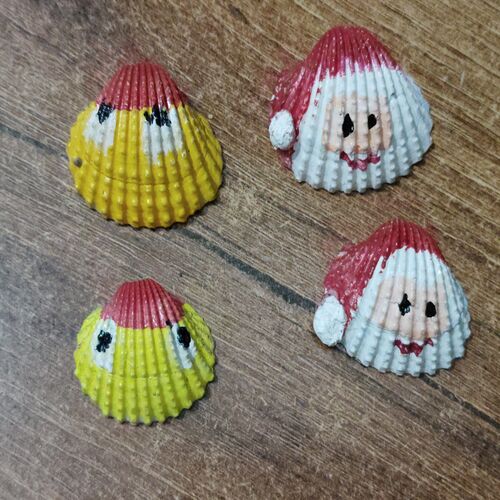 Colorful Shells ( Set of 4)