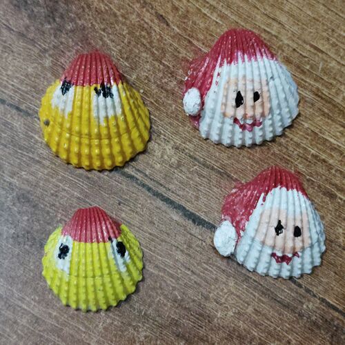 Colorful Shells ( Set of 4)