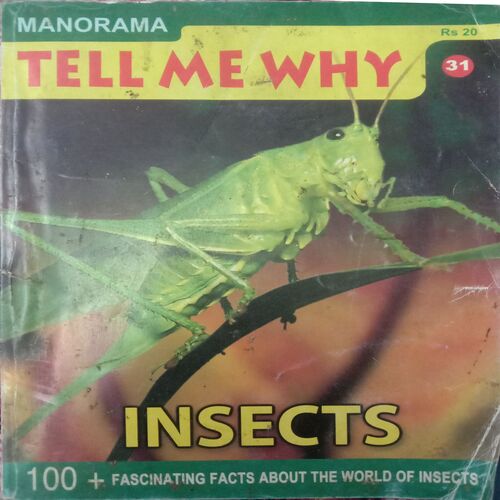 Tell Me Why (April 2009)
