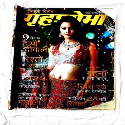 Grihshobha (November 1st 2013) page no 95 missing