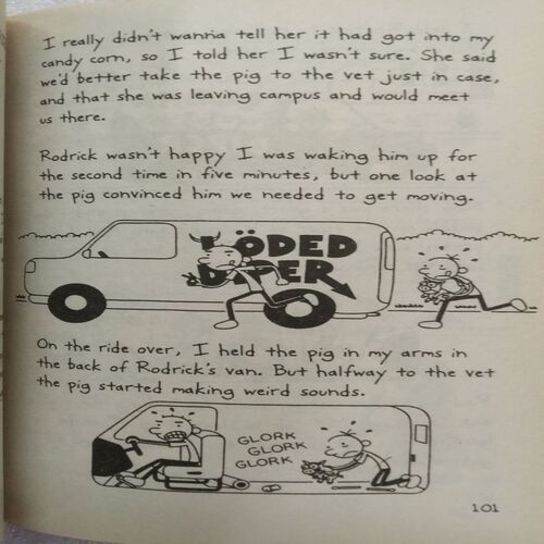 Diary Of A Wimpy Kid : Double Down (By Jeff Kinney)