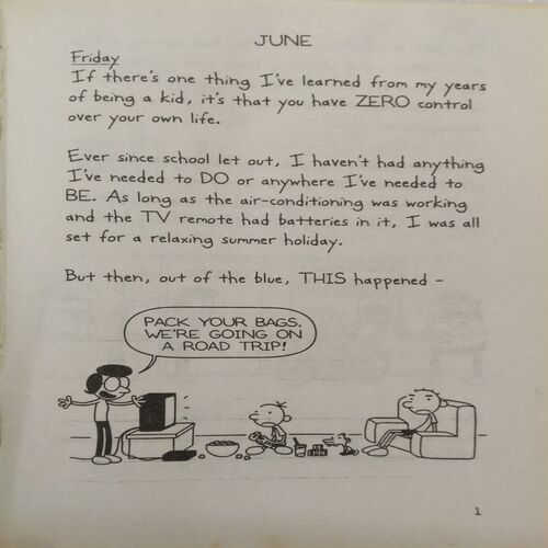Diary Of A Wimpy Kid : The Long Haul (By Jeff Kinney)