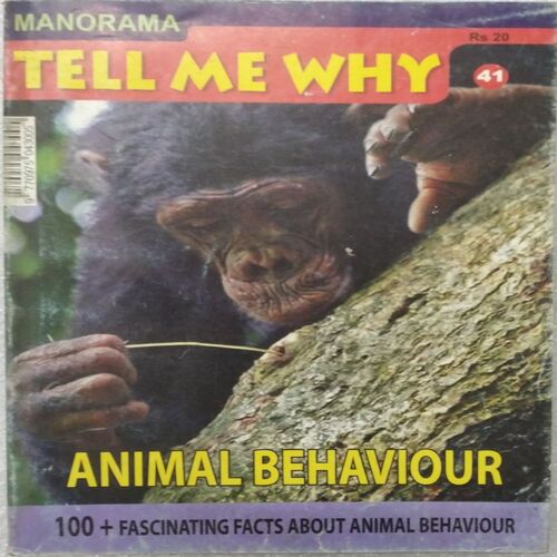 Tell Me Why ( Feb 2010 )